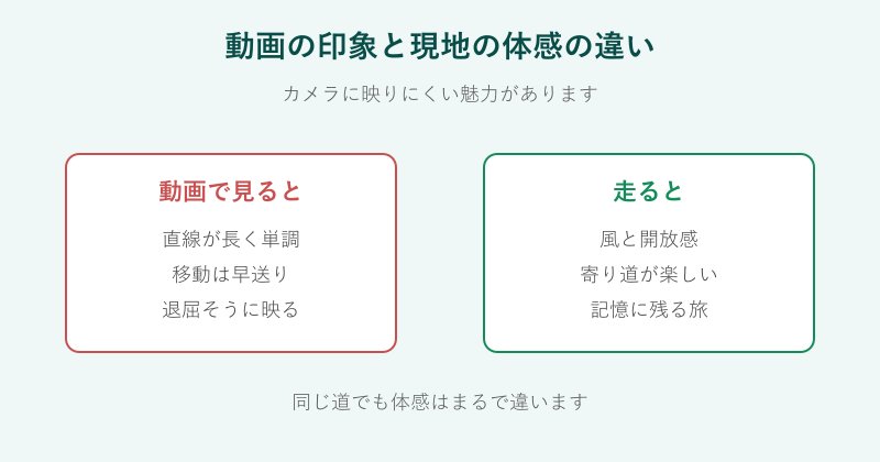 動画の印象と現地の体感の違いを比べた図