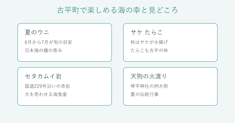 古平町の海の幸とセタカムイ岩や天狗の火渡りを4分野で整理した図