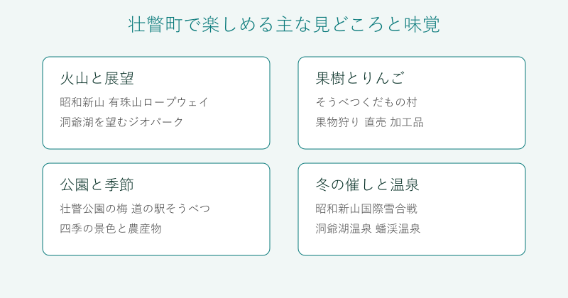 壮瞥町の見どころと味覚を4分野で整理した図
