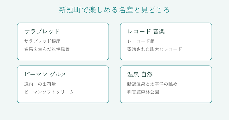 新冠町の名産と見どころを4分野で整理した図