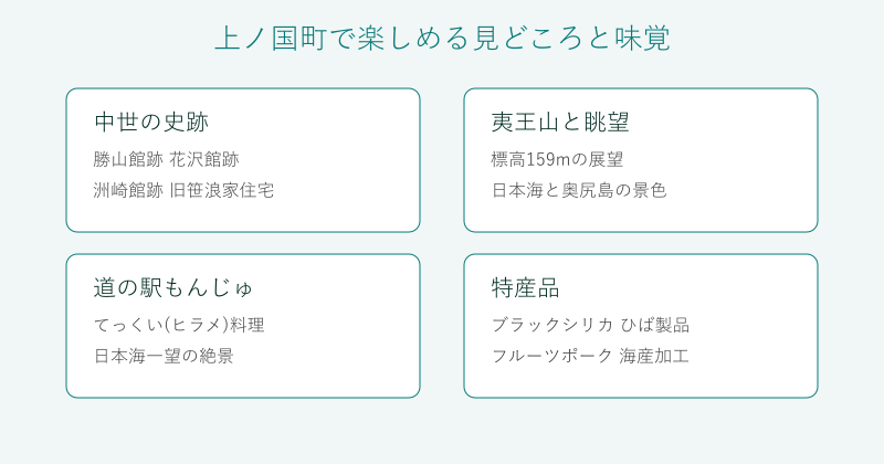 上ノ国町の史跡と夷王山と道の駅と特産を4分野で整理した図