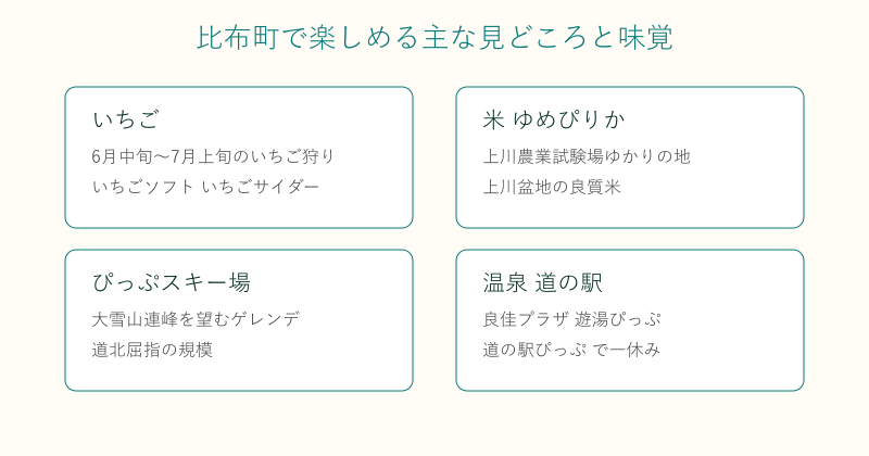 比布町の見どころと味覚を4分野で整理した図