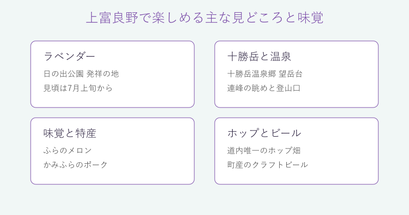 上富良野の見どころと味覚を4分野で整理した図