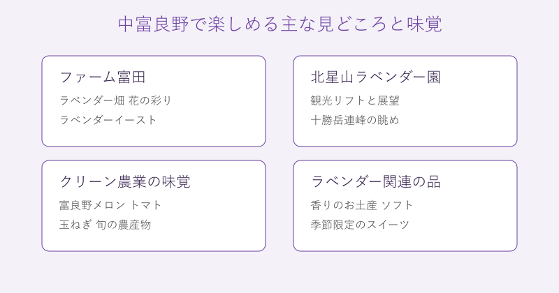 中富良野の見どころと味覚を4分野で整理した図