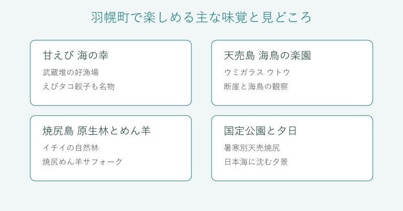羽幌町の味覚と見どころを4分野で整理した図