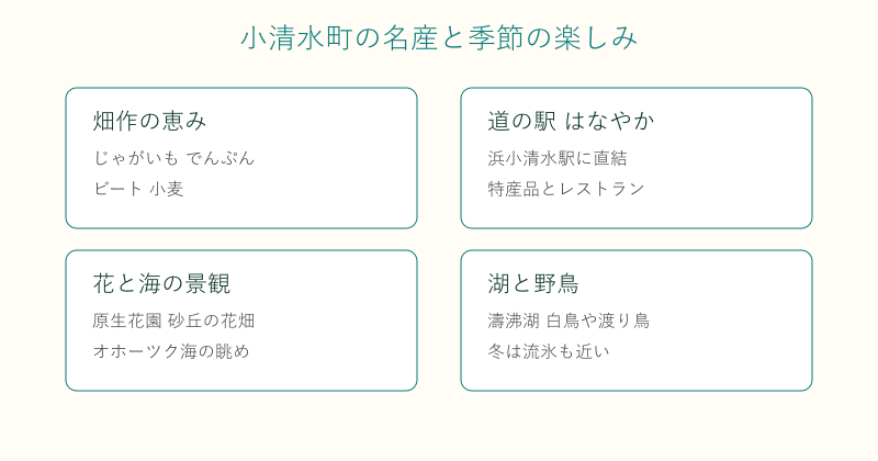 小清水町の名産と季節の楽しみを4分野で整理した図