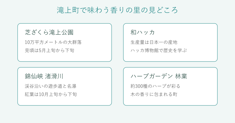 滝上町の芝ざくら和ハッカ錦仙峡ハーブを4分野で整理した図