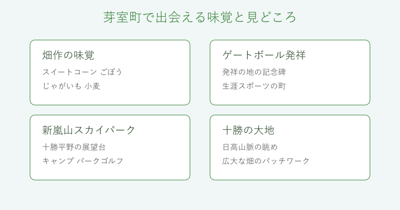 芽室町の味覚と見どころを4分野で整理した図