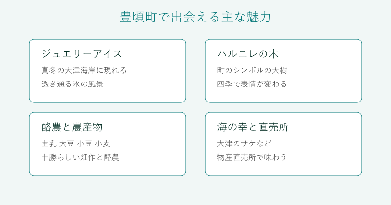 豊頃町の魅力を4分野で整理した図