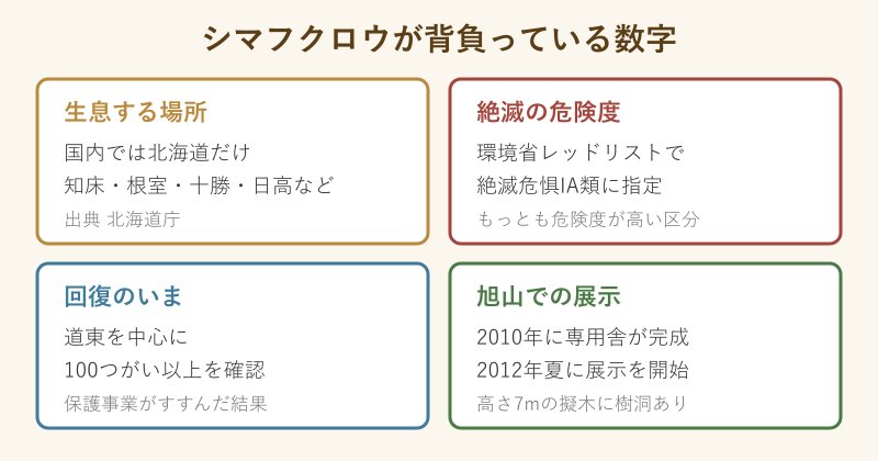 シマフクロウの生息地と絶滅危惧区分のまとめ
