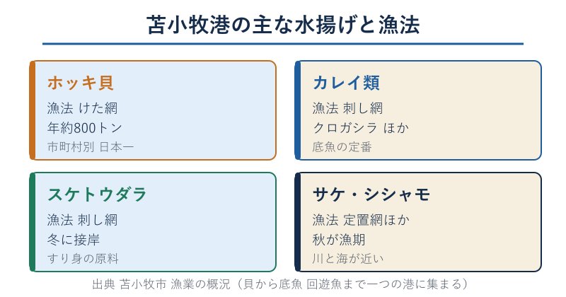 苫小牧港の主な水揚げ魚種と漁法の一覧
