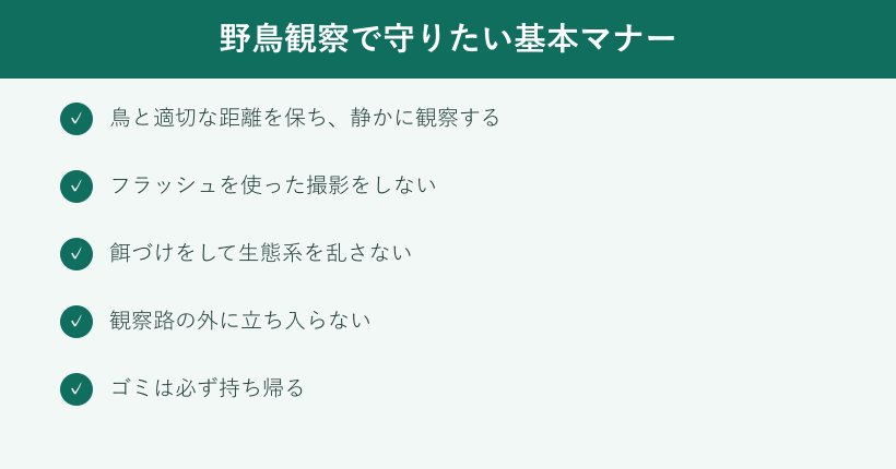 野鳥観察マナーのチェックリスト