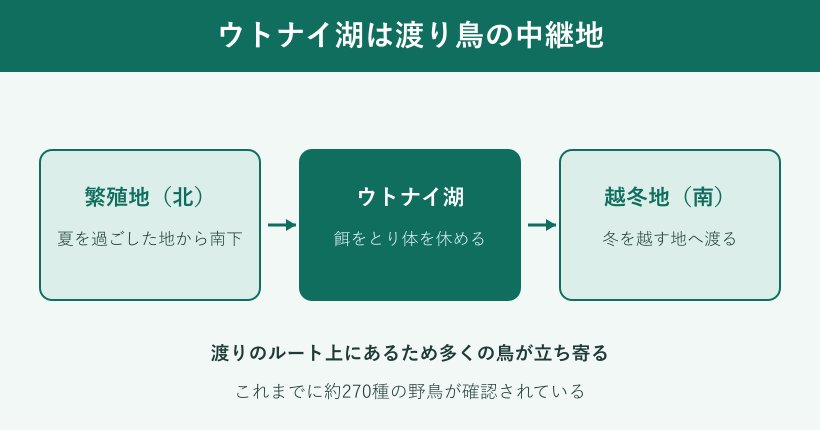 渡り鳥の中継地の仕組み図