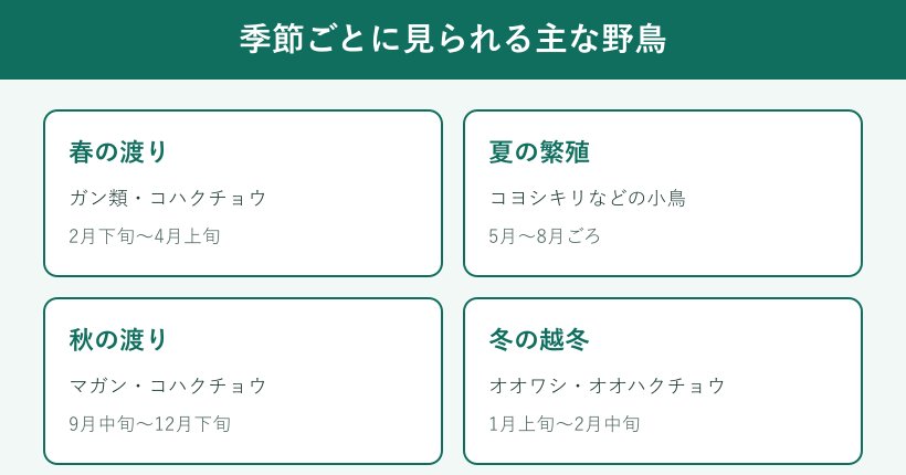 野鳥観察のベストシーズン早見表
