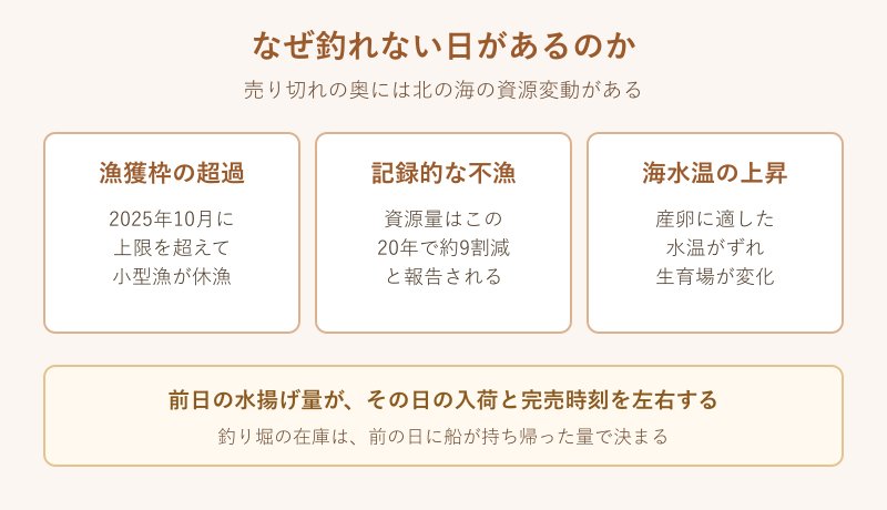 イカが釣れない三つの理由の図解