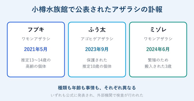 公表されたアザラシ3頭の訃報の一覧