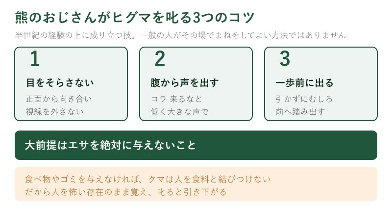 ヒグマを叱る3つのコツの図解