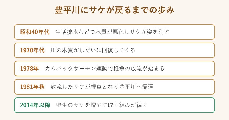 サケが豊平川に戻るまでの歴史フロー