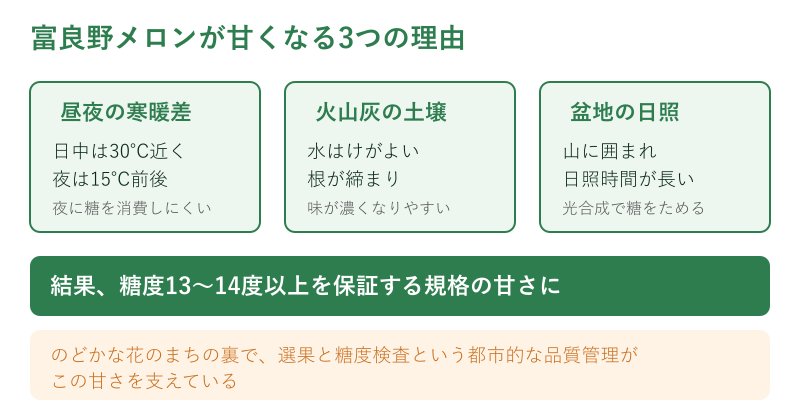 富良野メロンが甘くなる理由の図解