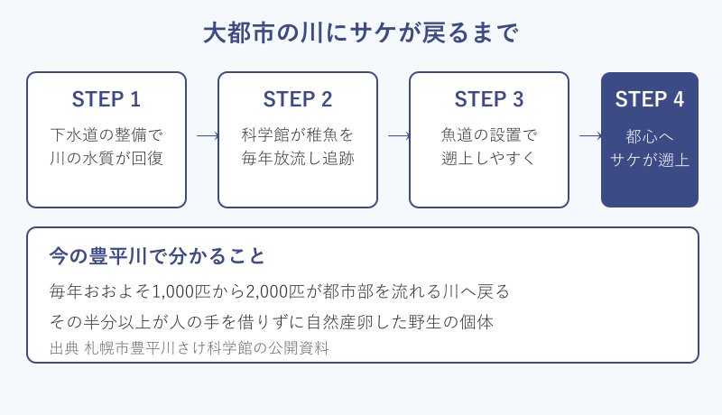 都市の川にサケが戻るまでの四段階を示した図