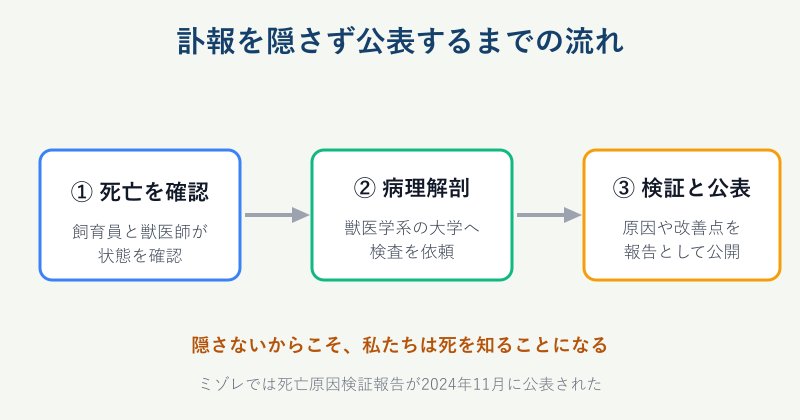 死亡から原因公表までの流れの図