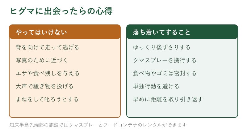 ヒグマ遭遇時の行動チェックリスト