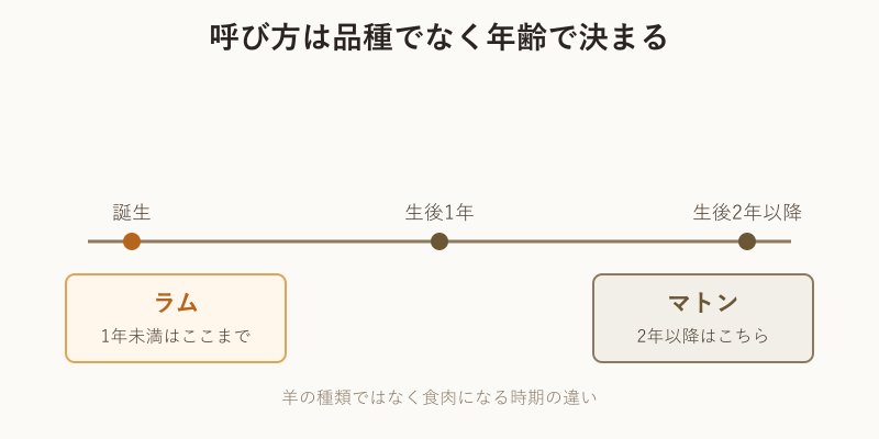 ラムとマトンを年齢で分ける仕組みの図解