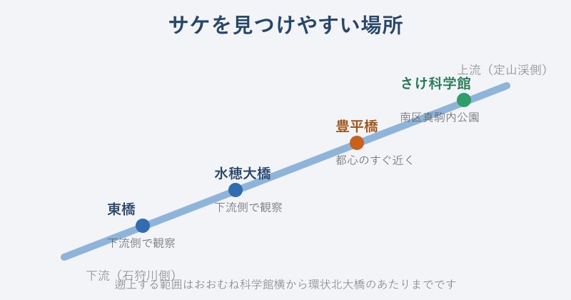 遡上を見つけやすい橋と場所の図