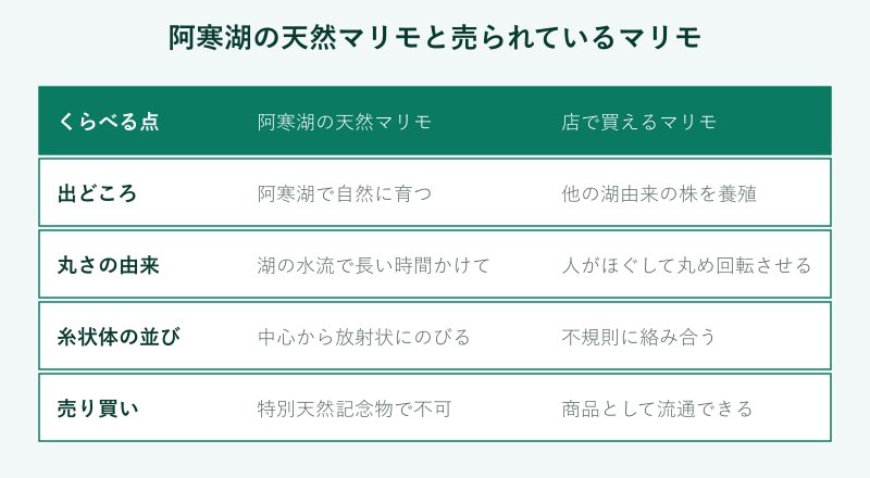 天然マリモと市販マリモの比較表
