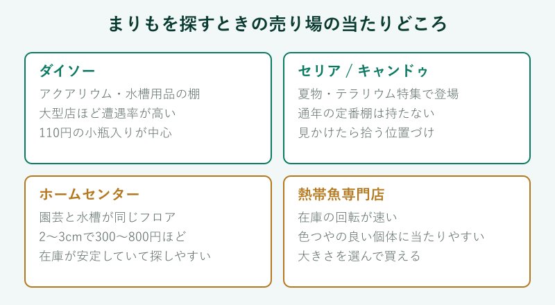 まりもを探すときの売り場の当たりどころ