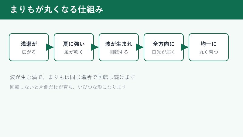 まりもが波で回転し丸く育つ図解