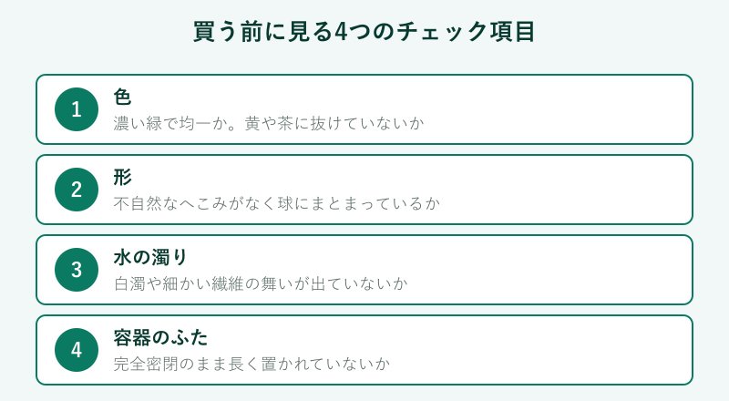 まりもを買う前の4つのチェック項目