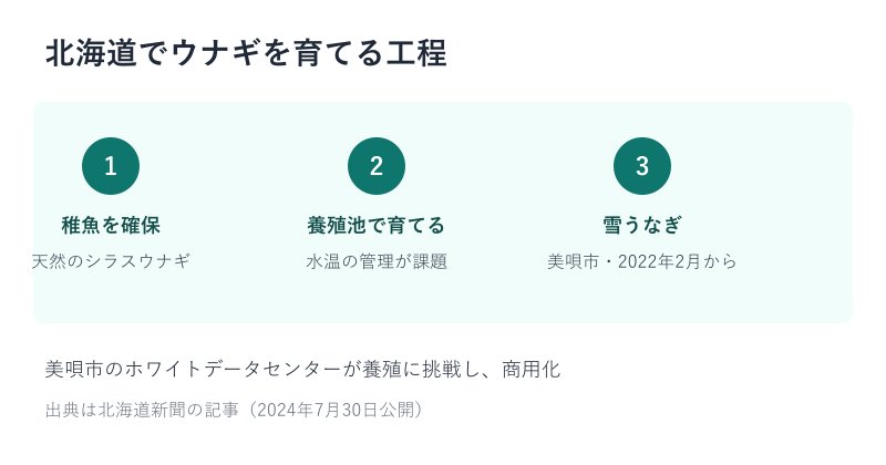 北海道でウナギを育てる工程の図