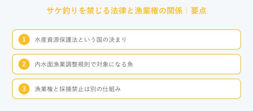 サケ釣りを禁じる法律と漁業権の関係の要点