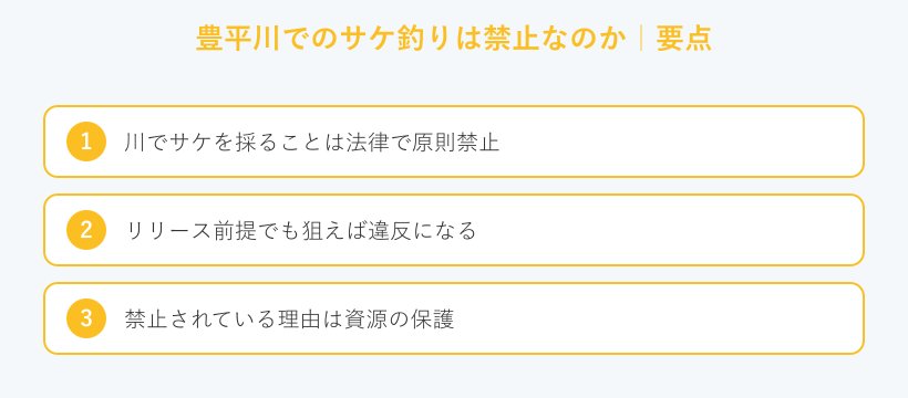 豊平川でのサケ釣りは禁止なのかの要点